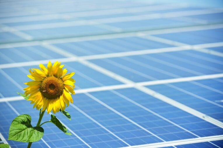 suncokreta i solarnih panela radi uštede energije
